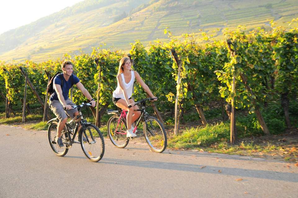bicycle tourism vineyards Kaysersberg
